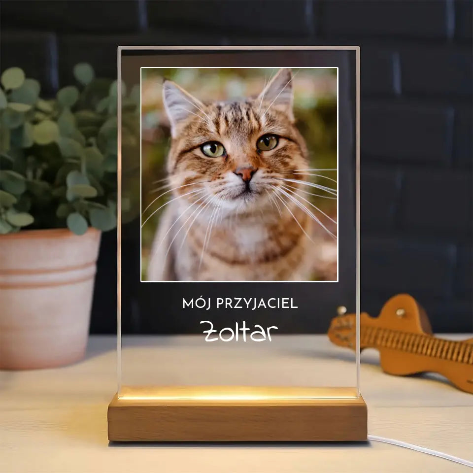 Zdjęcie kota z imieniem - Druk na szkle, spersonalizowany prezent