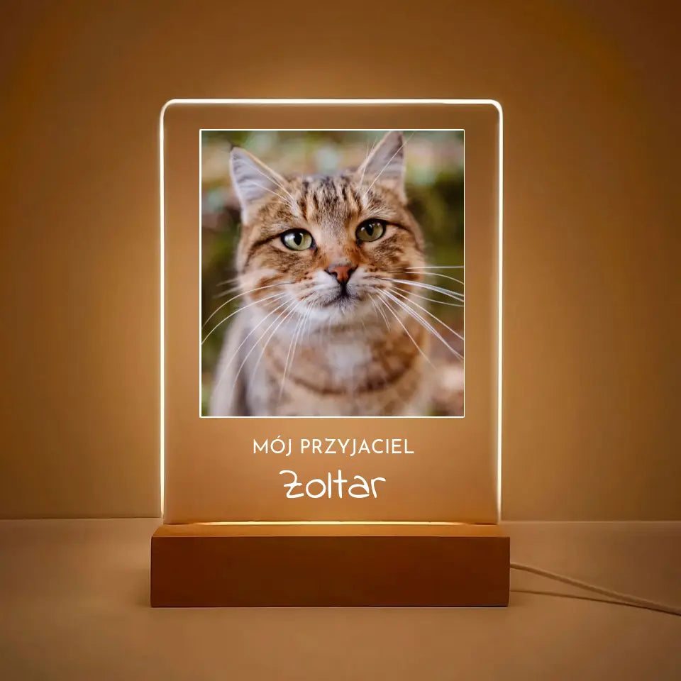 Zdjęcie kota z imieniem - Druk na szkle, spersonalizowany prezent