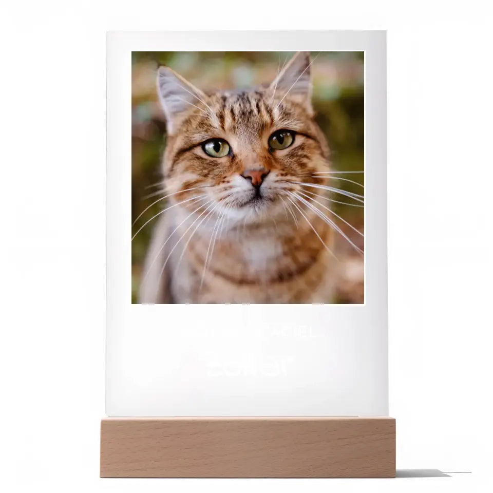 Zdjęcie kota z imieniem - Druk na szkle, spersonalizowany prezent