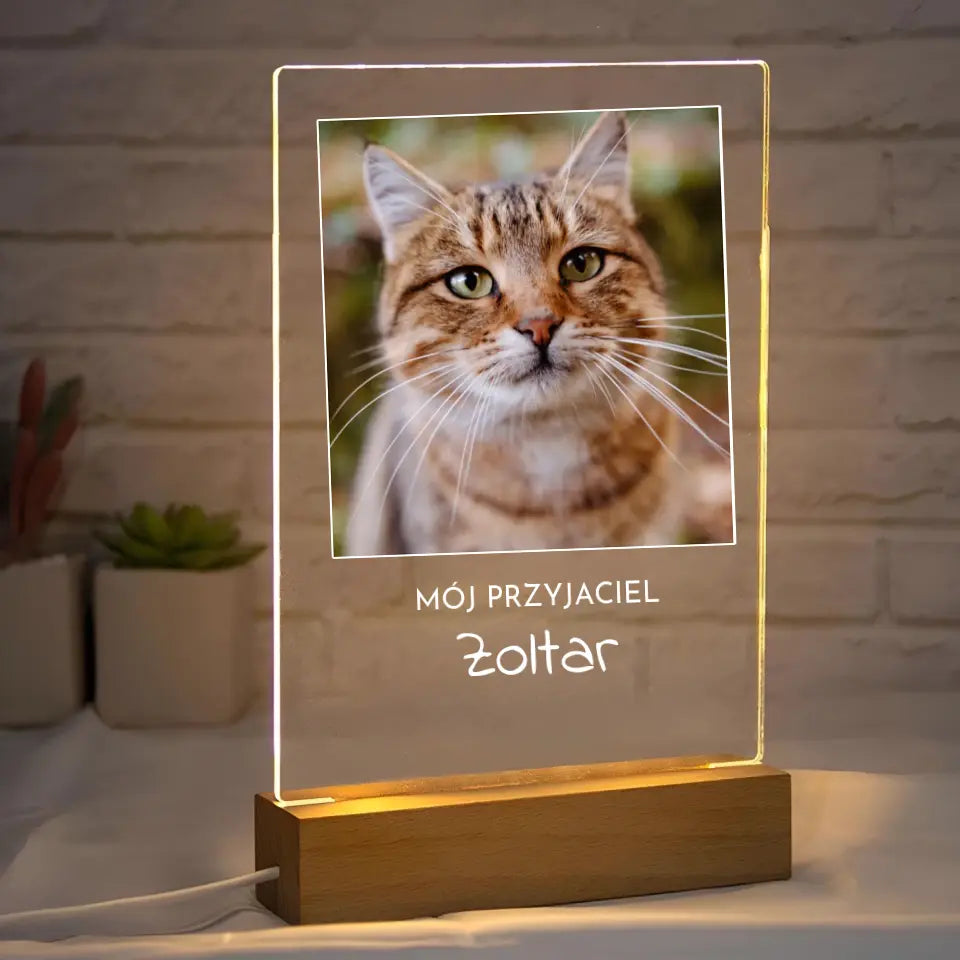 Zdjęcie kota z imieniem - Druk na szkle, spersonalizowany prezent