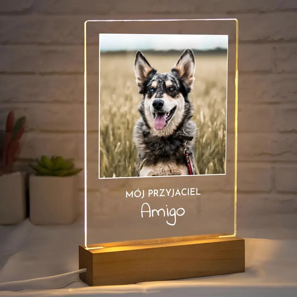Zdjęcie psa z imieniem - Druk na szkle, spersonalizowany prezent