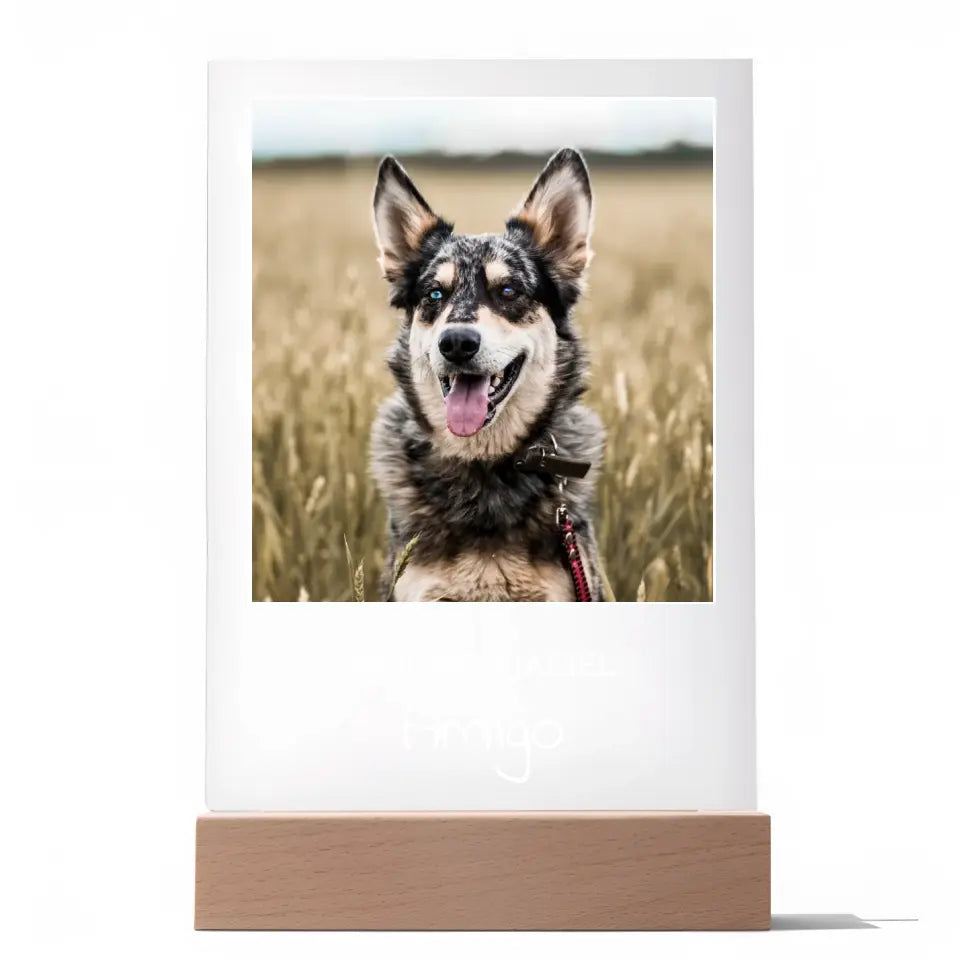 Zdjęcie psa z imieniem - Druk na szkle, spersonalizowany prezent
