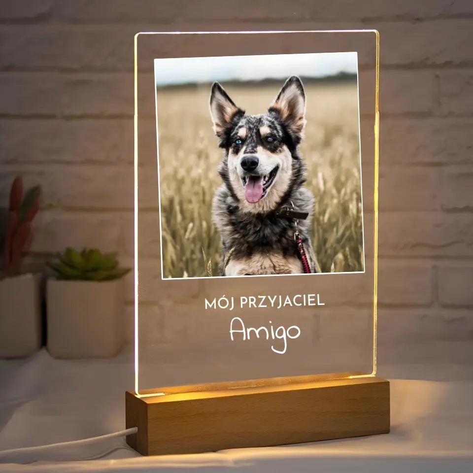 Zdjęcie psa z imieniem - Druk na szkle, spersonalizowany prezent