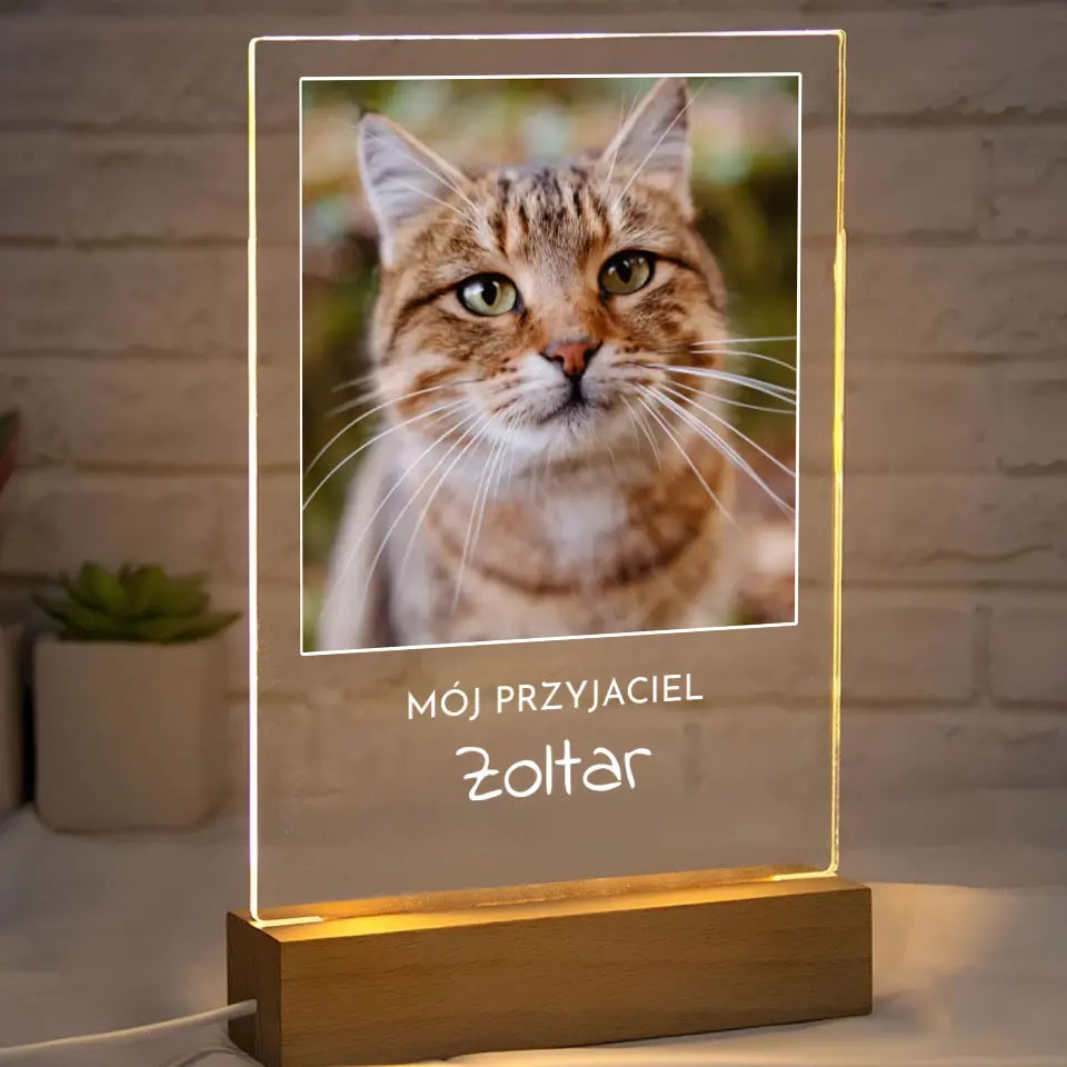 Zdjęcie kota z imieniem - Druk na szkle, spersonalizowany prezent